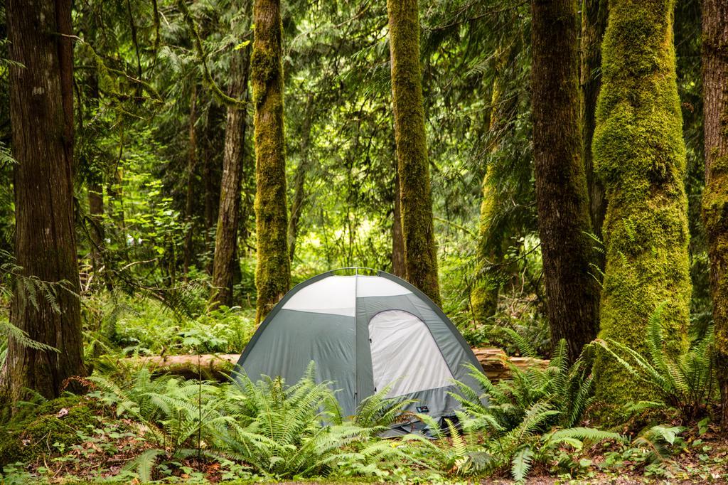 Mount Hood Village Deluxe Cabin 7 Welches Exterior photo